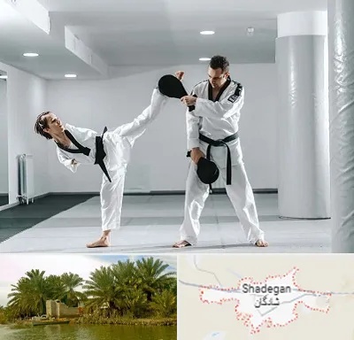 باشگاه رزمی در شادگان