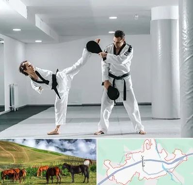 باشگاه رزمی در تالش