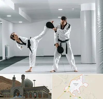 باشگاه رزمی در شهرضا