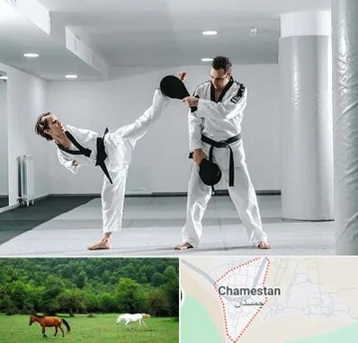 باشگاه رزمی در چمستان