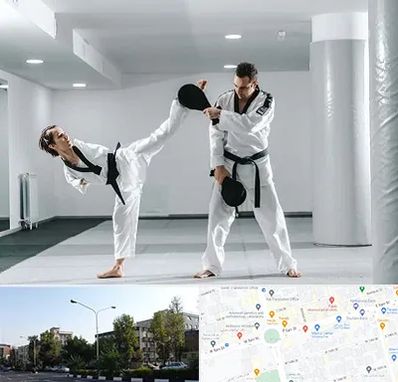 باشگاه رزمی در میدان کاج