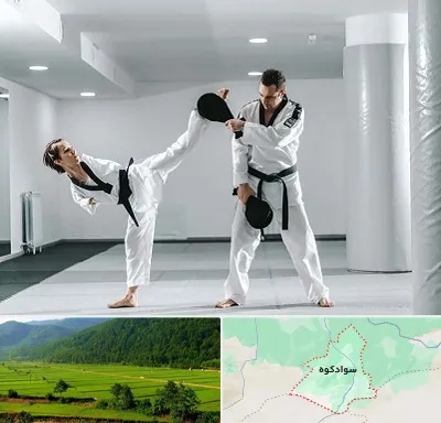باشگاه رزمی در سوادکوه