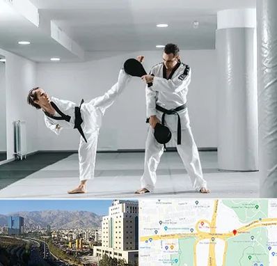 باشگاه رزمی در حقانی