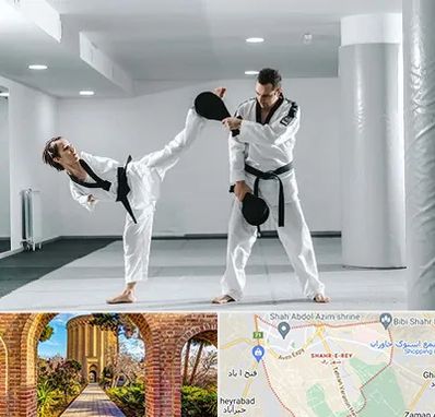 باشگاه رزمی در شهر ری