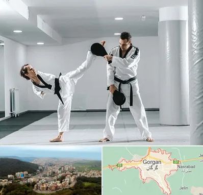 باشگاه رزمی در گرگان