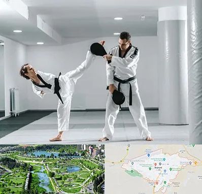 باشگاه رزمی در بجنورد