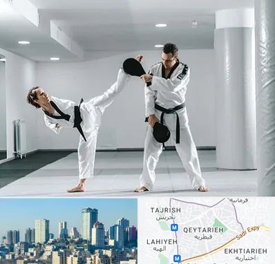 باشگاه رزمی در قیطریه