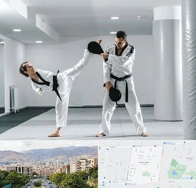 باشگاه رزمی در خانی آباد