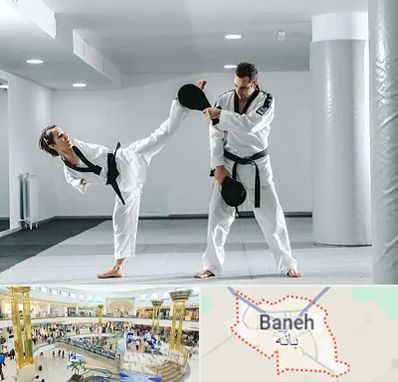 باشگاه رزمی در بانه