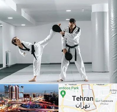 باشگاه رزمی در صادقیه 