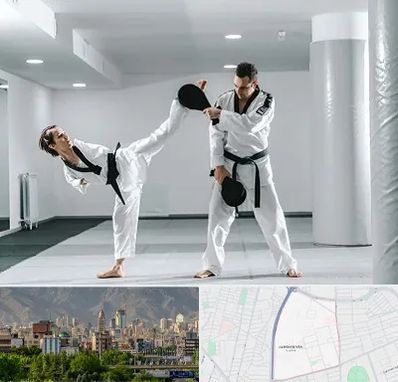 باشگاه رزمی در جمشیدیه