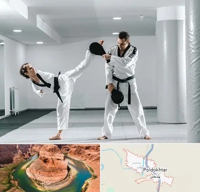 باشگاه رزمی در پلدختر
