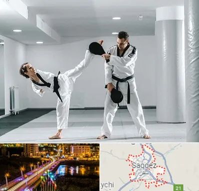 باشگاه رزمی در سقز