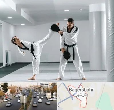 باشگاه رزمی در باقرشهر