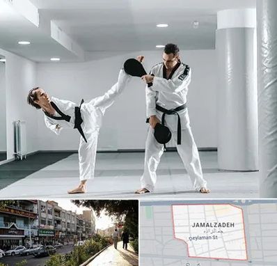 باشگاه رزمی در خیابان جمالزاده