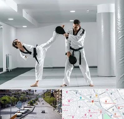 باشگاه رزمی در خیابان زند شیراز