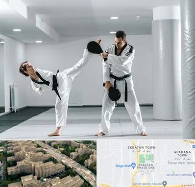 باشگاه رزمی در اکباتان 