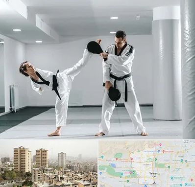 باشگاه رزمی در منطقه 5 تهران