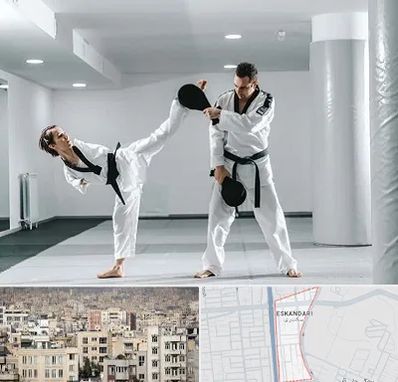 باشگاه رزمی در اسکندری