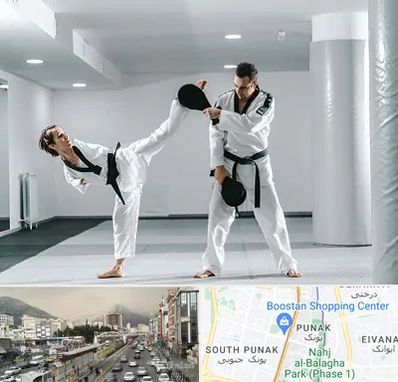 باشگاه رزمی در پونک 