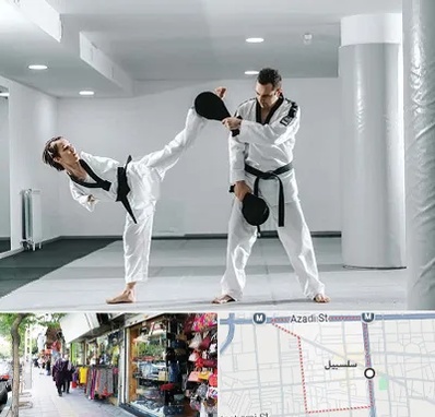 باشگاه رزمی در سلسبیل