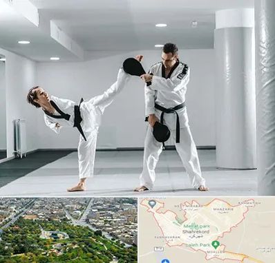 باشگاه رزمی در شهرکرد