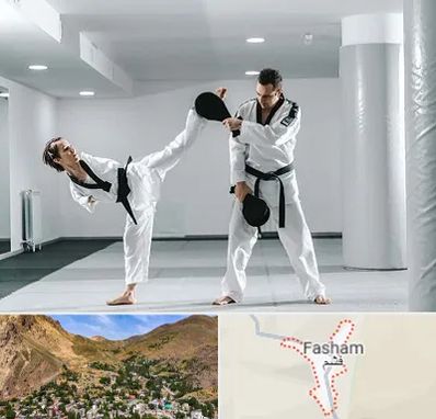 باشگاه رزمی در فشم