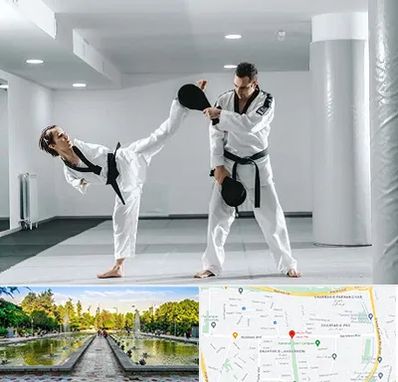 باشگاه رزمی در سرسبز