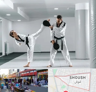 باشگاه رزمی در شوش