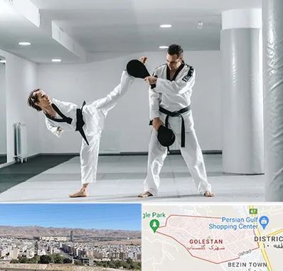 باشگاه رزمی در شهرک گلستان شیراز