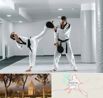 باشگاه رزمی در تویسرکان