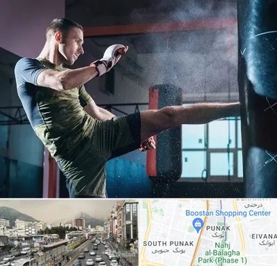 باشگاه کیک بوکسینگ در پونک 