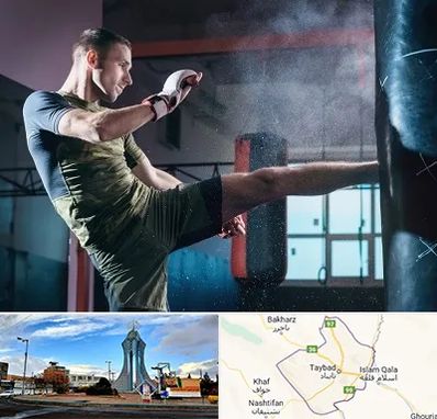 باشگاه کیک بوکسینگ در تایباد