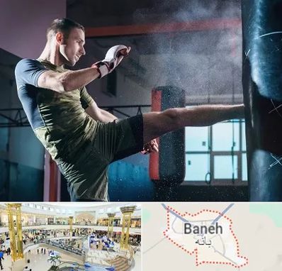 باشگاه کیک بوکسینگ در بانه