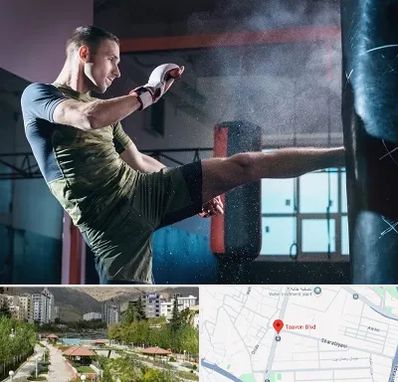 باشگاه کیک بوکسینگ در بلوار تعاون