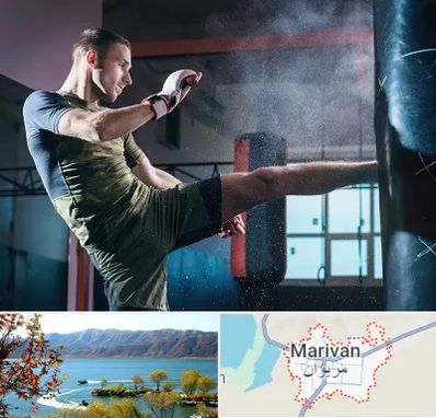 باشگاه کیک بوکسینگ در مریوان