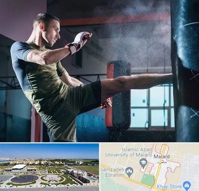 باشگاه کیک بوکسینگ در ملارد