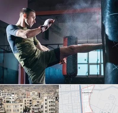 باشگاه کیک بوکسینگ در اسکندری