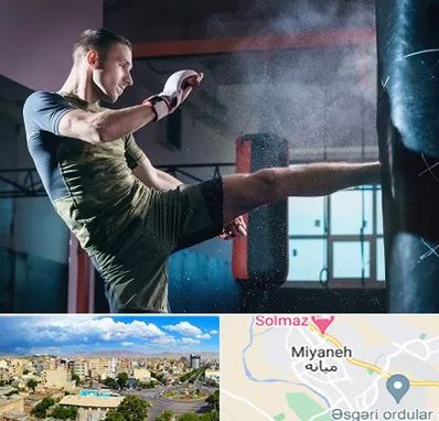 باشگاه کیک بوکسینگ در میانه