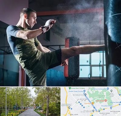 باشگاه کیک بوکسینگ در قدوسی غربی شیراز