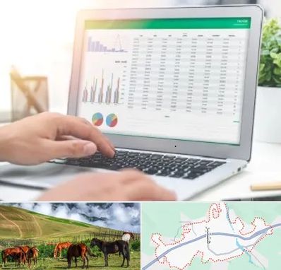 آموزشگاه اکسل در تالش