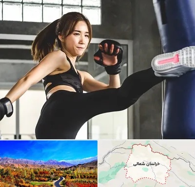 باشگاه کیک بوکسینگ بانوان در خراسان شمالی