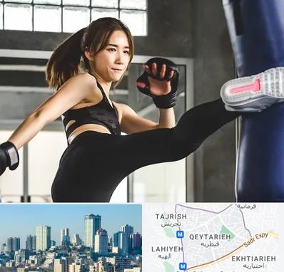 باشگاه کیک بوکسینگ بانوان در قیطریه