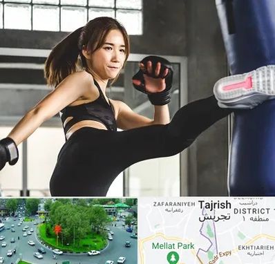 باشگاه کیک بوکسینگ بانوان در تجریش 