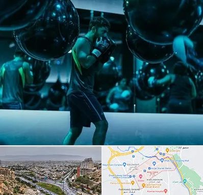 باشگاه بوکس در معالی آباد شیراز