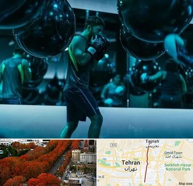 باشگاه بوکس در ولیعصر