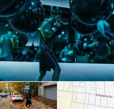 باشگاه بوکس در خیابان فلسطین