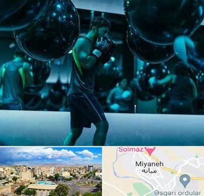 باشگاه بوکس در میانه