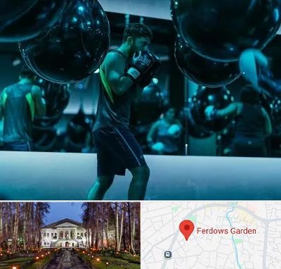 باشگاه بوکس در باغ فردوس