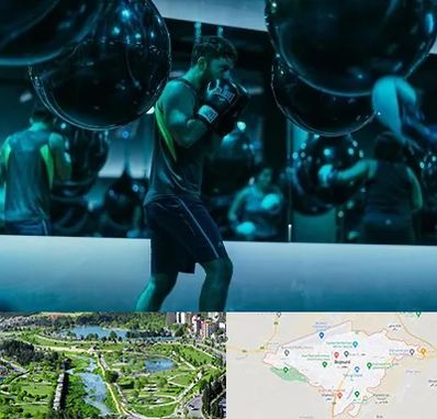 باشگاه بوکس در بجنورد